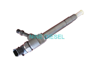 Originele Bosch-Diesel Injecteur 0445110250 met de Certificatie van ISO 9001